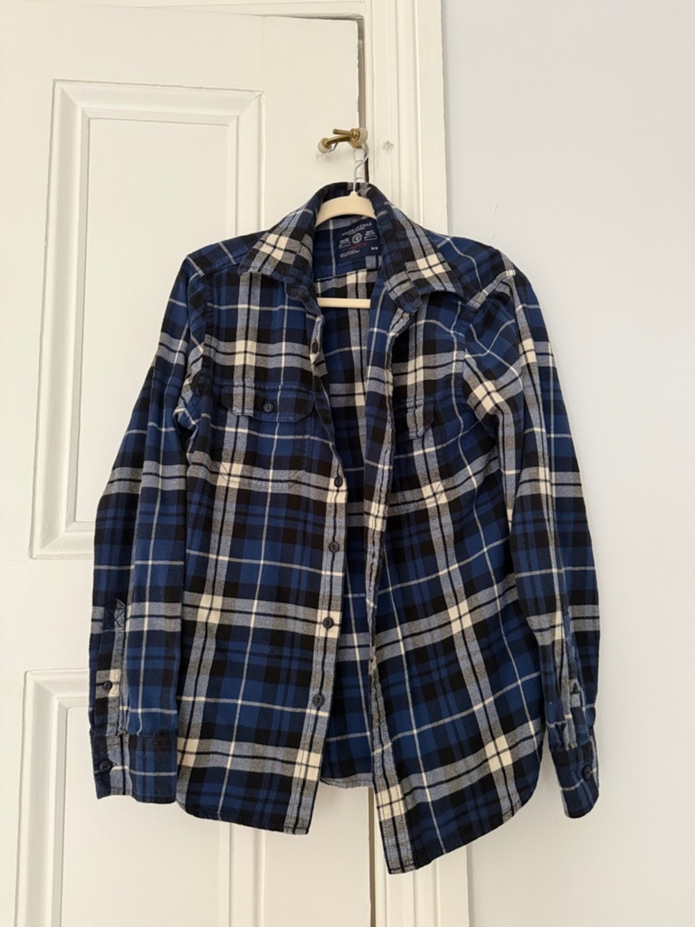 American Eagle Outfitters Blue and White Plaid Button-Down Shirt